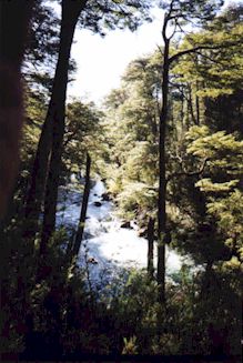 Cascada2.jpg (24299 bytes)